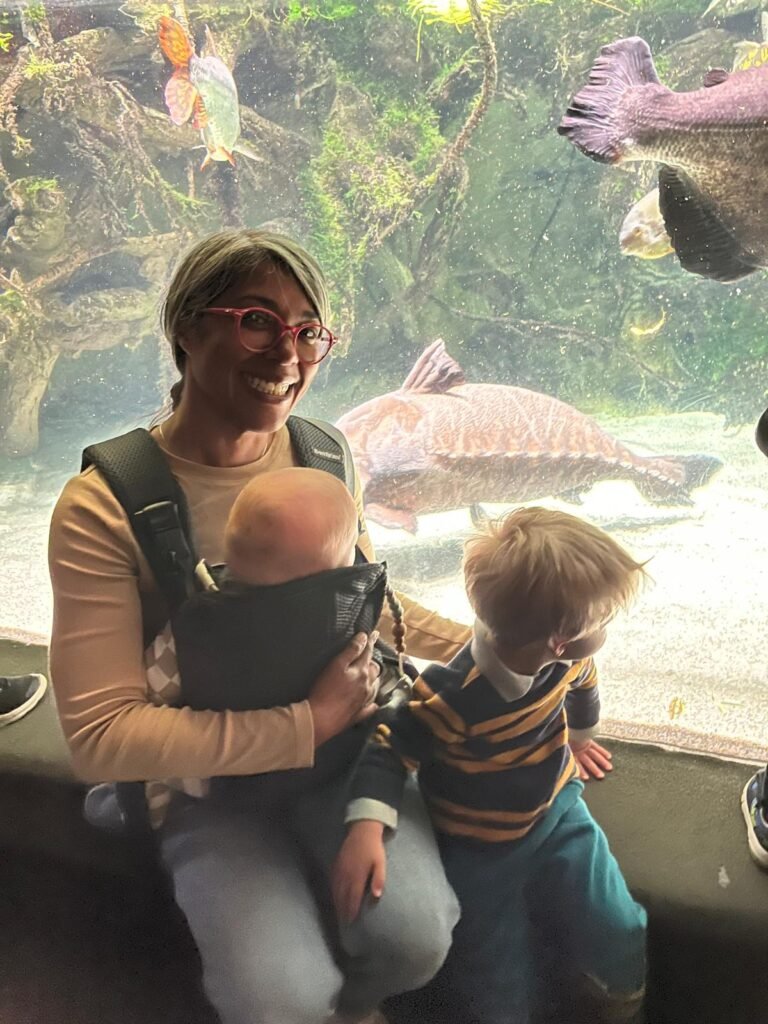 whatsapp image 2025 12 30 at 10.55.30 am